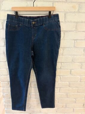 Lane Bryant Dark Blue Skinny Jeans
(B1)